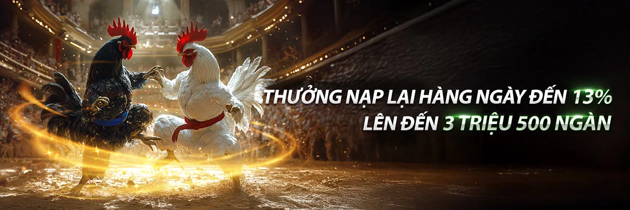 Đá gà trực tuyến 8us - Trận đấu kịch tính
