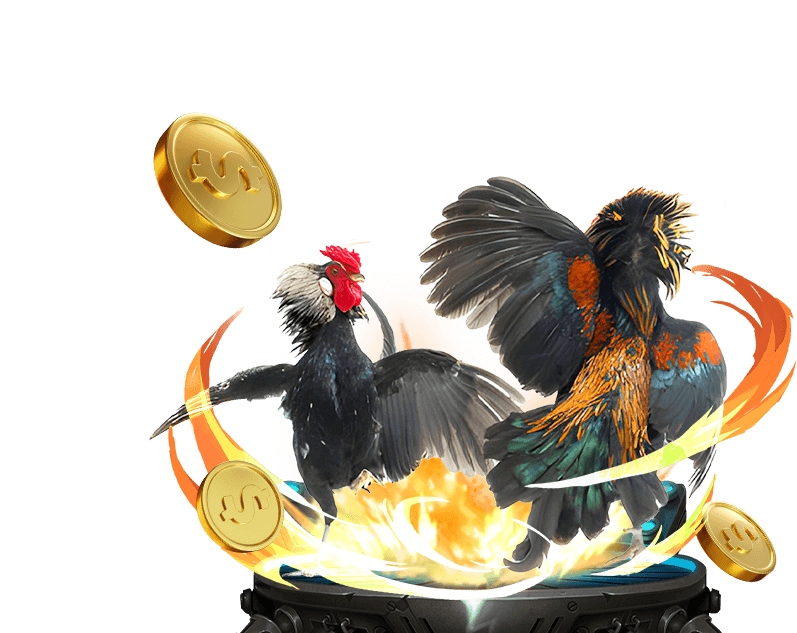 Dịch vụ chăm sóc khách hàng 24/7 chuyên nghiệp của 8us