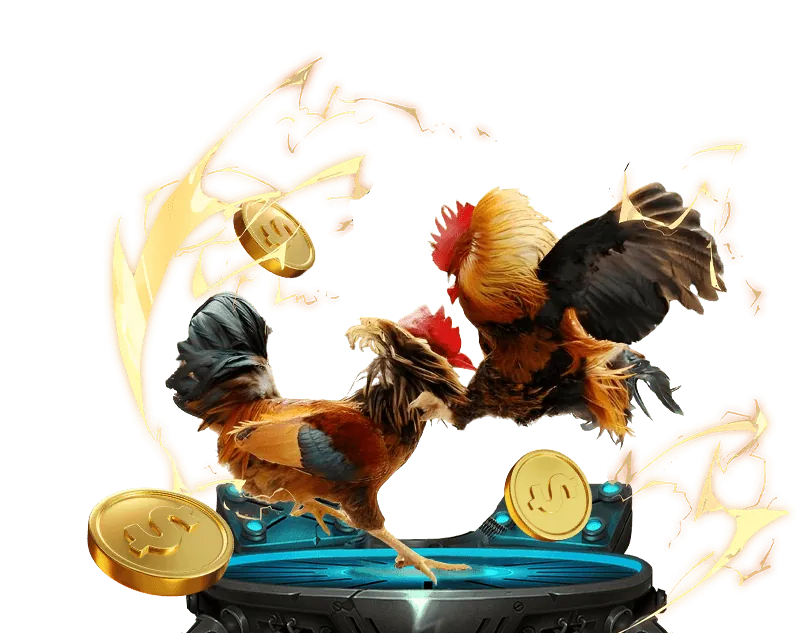 Đá gà kịch tính